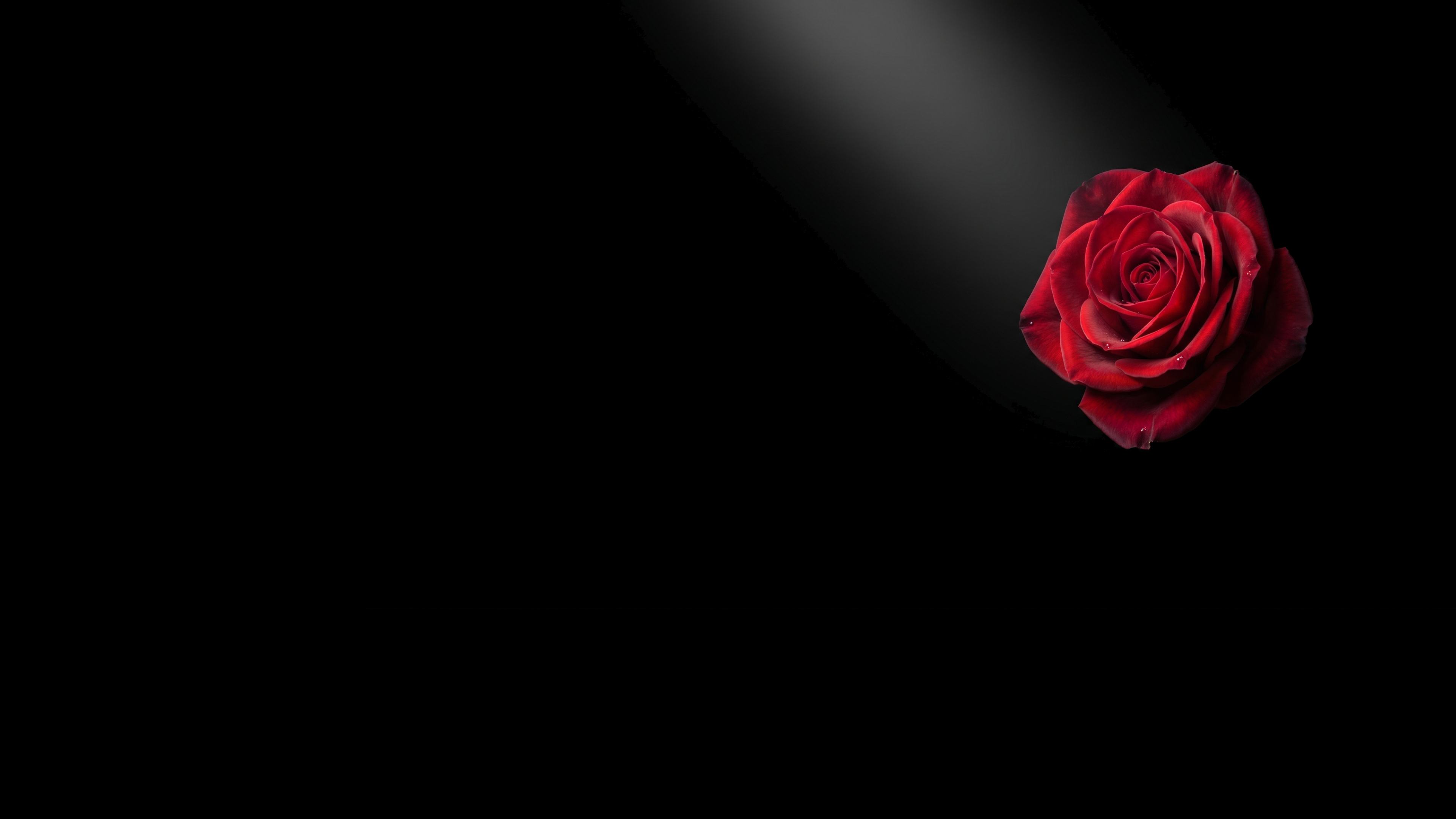 Crimson Rose Floating Black Void 2